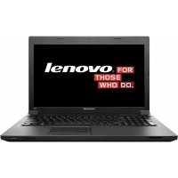 Lenovo IdeaPad B590 59359268 (черный)